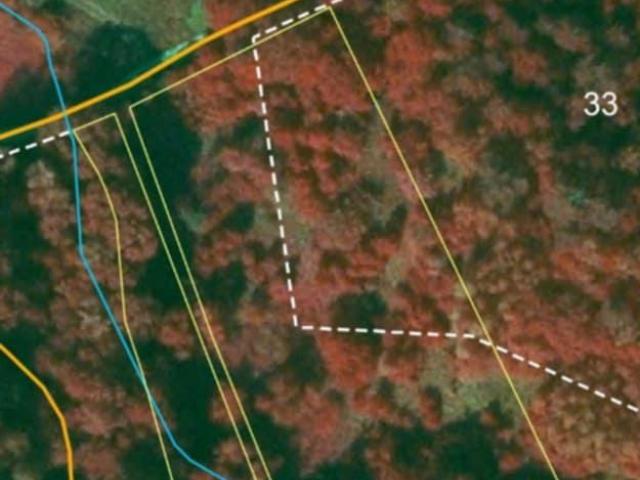 Parduodamas ž. sklypas