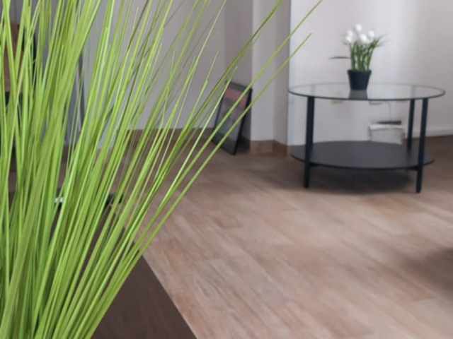 Butas paromis Klaipėdos centre. H. Manto g. 4