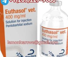 +1267.227.9080. Buy Sodium Pentobarbital Injection In Munich, Cologne Germany