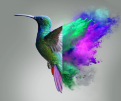 Milteliniai dazai, EKO-COLOR milteliniai dazai