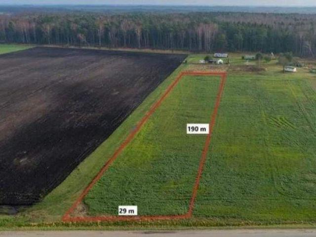 Parduodu Svencelėje netoli marių du sklypus. Bendras plotas 54a.