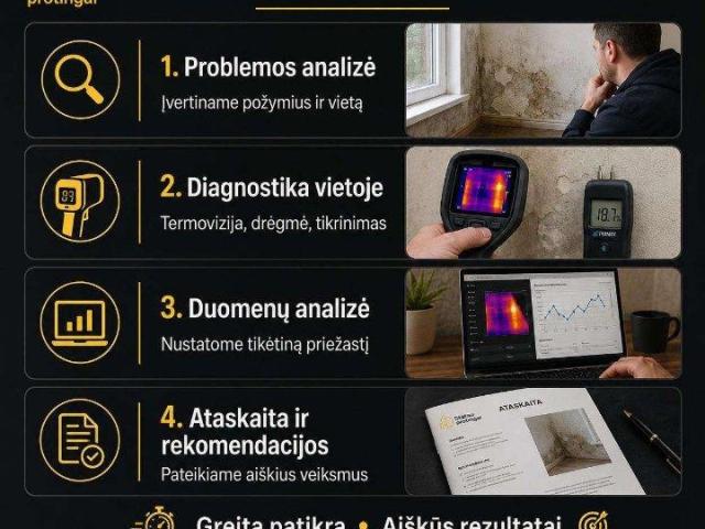 Stogų ir fasadų pratekėjimo diagnostika be ardymo