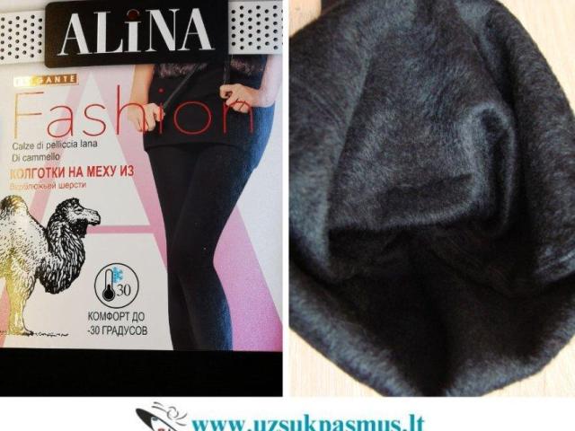 Pėdkelnės su kupranugario vilna